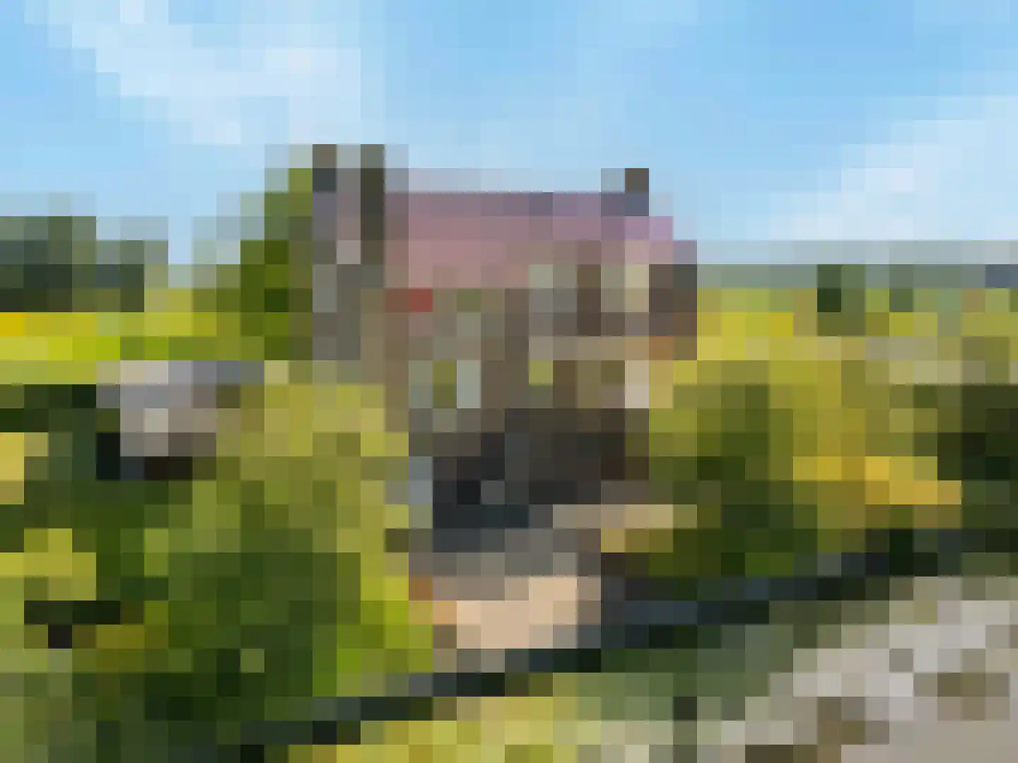 Schelpweg 52 Strijen thumbnail 4