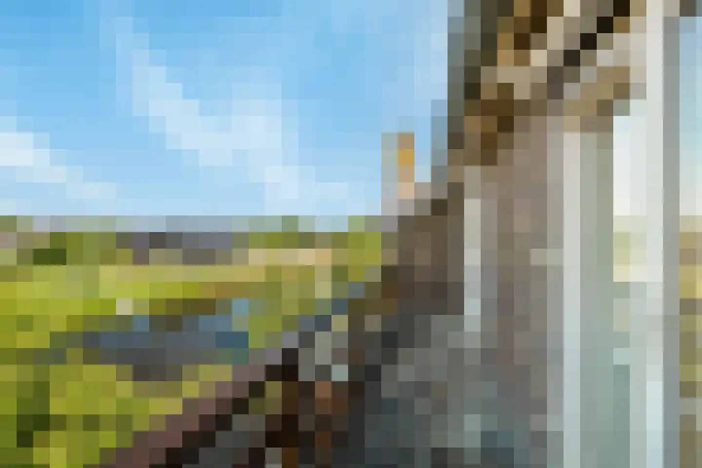 Schelpweg 52 Strijen thumbnail 40