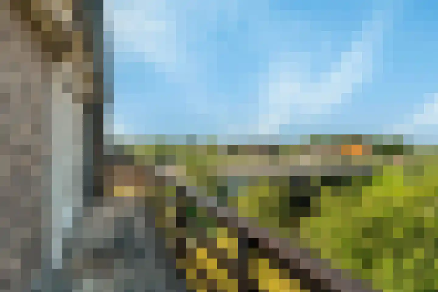 Schelpweg 52 Strijen thumbnail 41