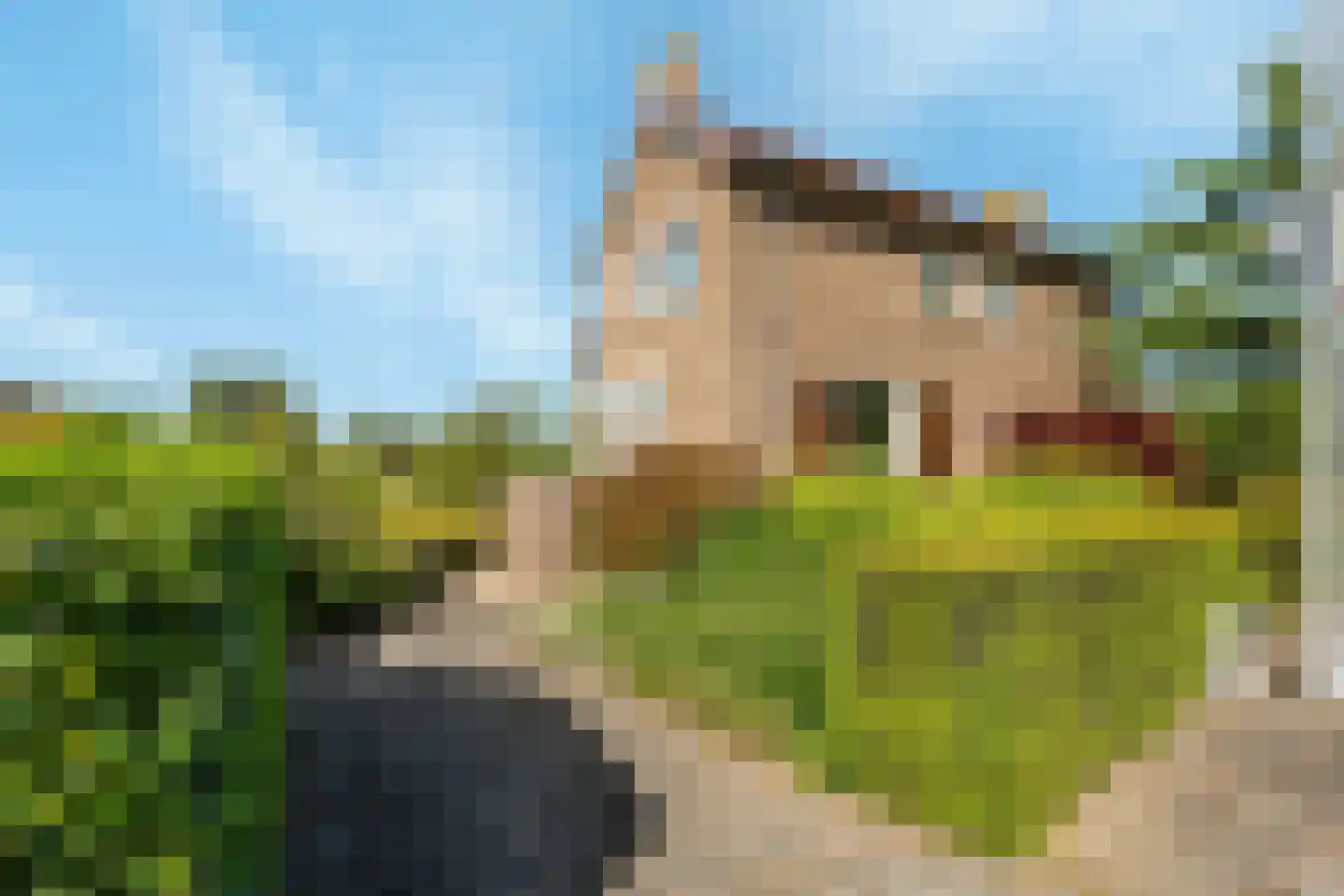 Schelpweg 52 Strijen thumbnail 52