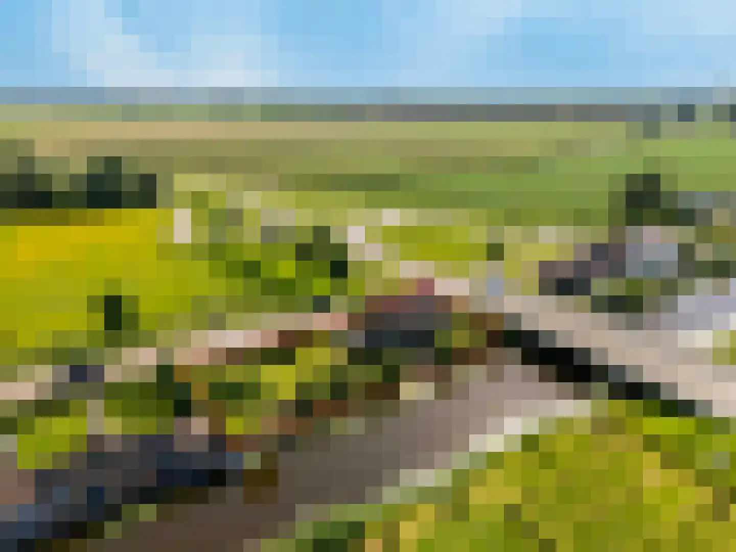 Schelpweg 52 Strijen thumbnail 55