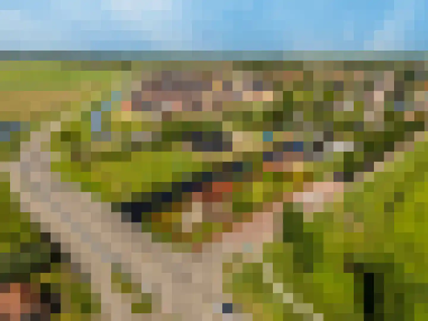 Schelpweg 52 Strijen thumbnail 57