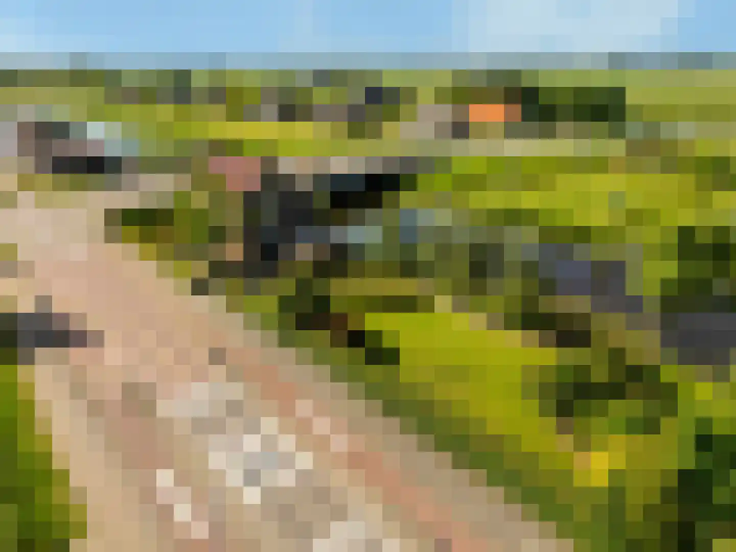 Schelpweg 52 Strijen thumbnail 58