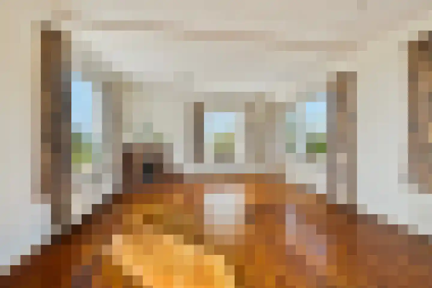 Schelpweg 52 Strijen thumbnail 8