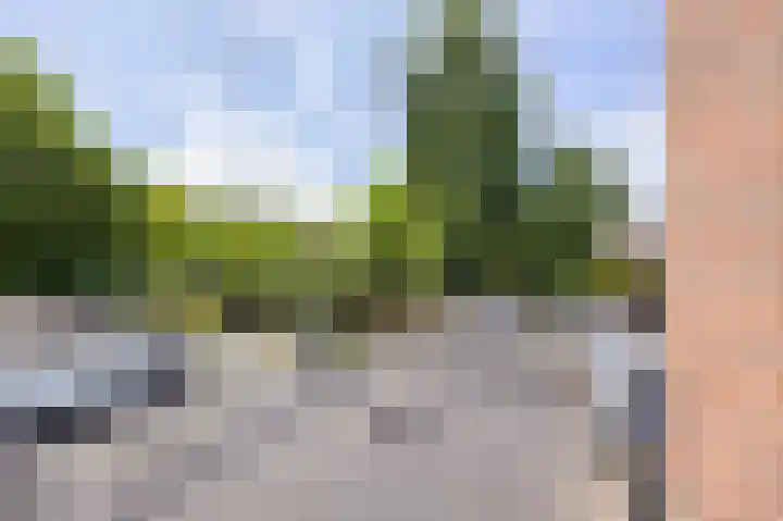 Schelpweg 6 Hoek van Holland thumbnail 39