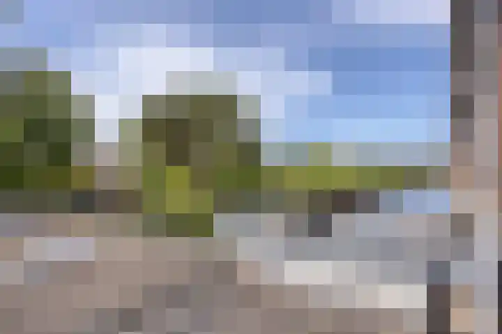 Schelpweg 6 Hoek van Holland thumbnail 40