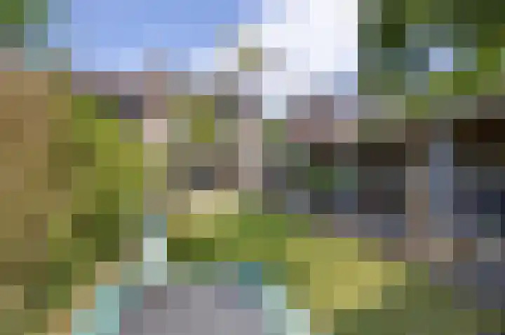Schelpweg 6 Hoek van Holland thumbnail 5