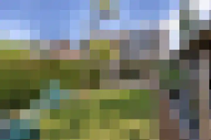 Schelpweg 6 Hoek van Holland thumbnail 53