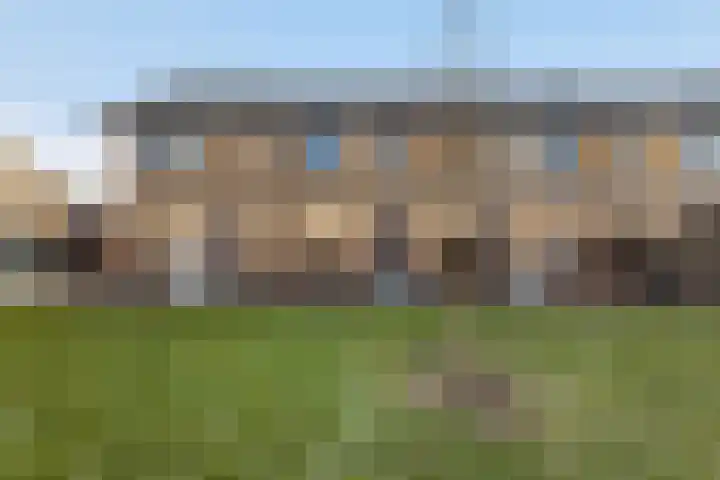 Schelpzandmolen 3 in Zwolle