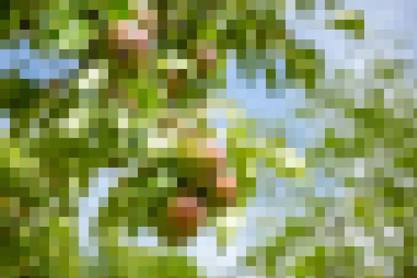 Schelsberg 302 Heerlen thumbnail 29