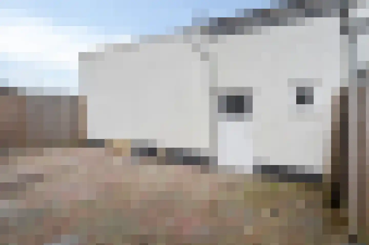Schelsberg 39 Heerlen thumbnail 24