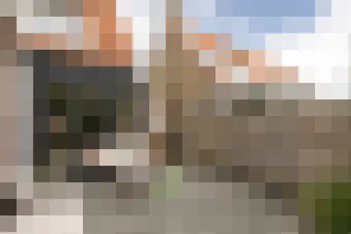 Schelte à Bolswertstraat 7 Bolsward thumbnail 33