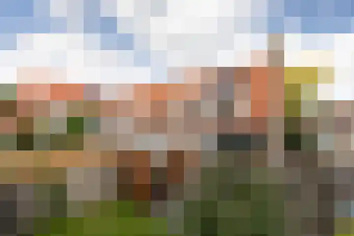 Schelte à Bolswertstraat 7 Bolsward thumbnail 34