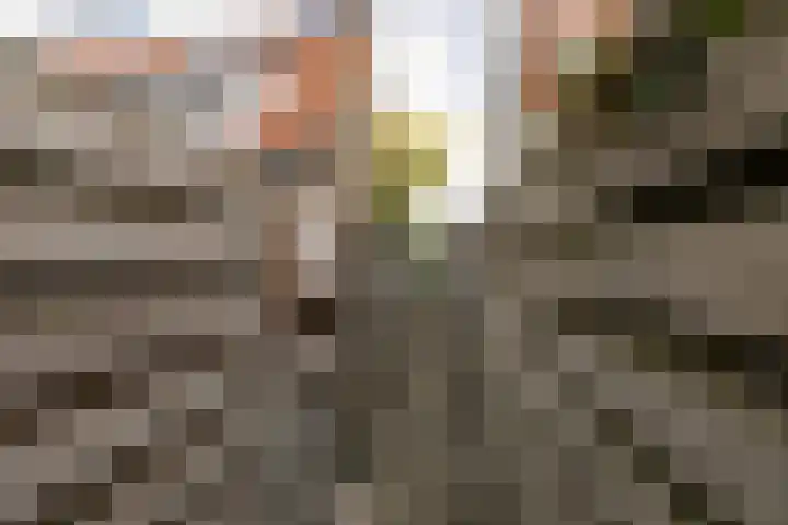 Schelte à Bolswertstraat 7 Bolsward thumbnail 37