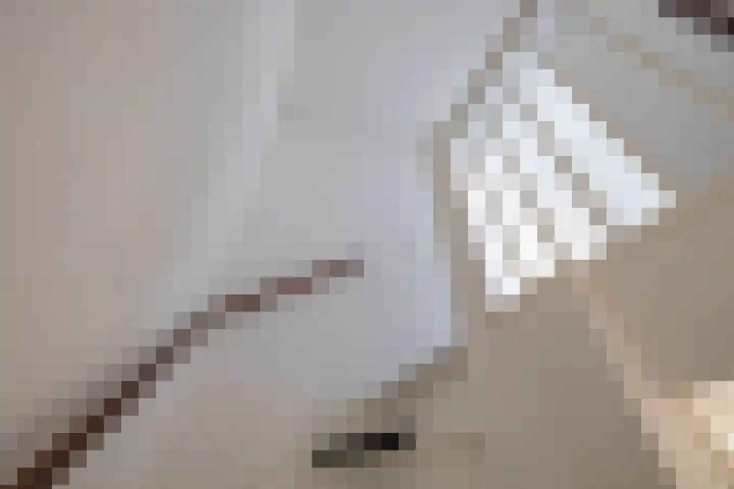 Scheltemaheerd 107 Groningen thumbnail 18
