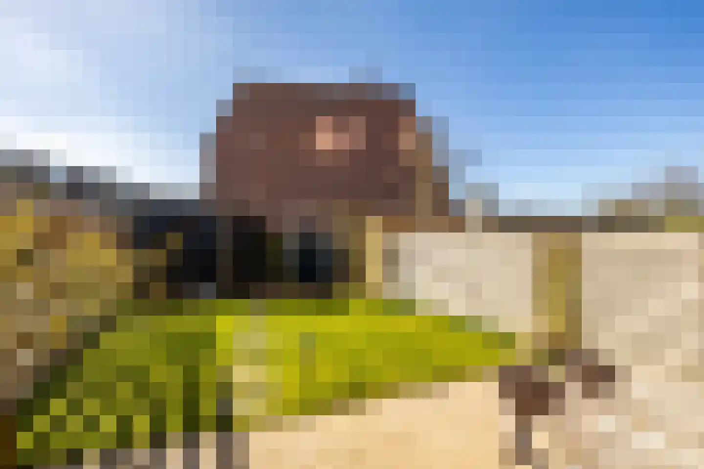 Scheltemaheerd 107 Groningen thumbnail 18