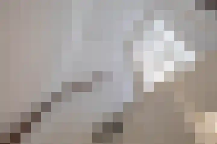 Scheltemaheerd 107 Groningen thumbnail 21