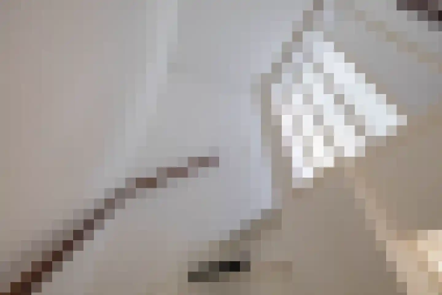 Scheltemaheerd 107 Groningen thumbnail 21