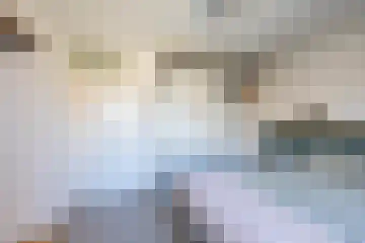 Scheltemaheerd 107 Groningen thumbnail 24