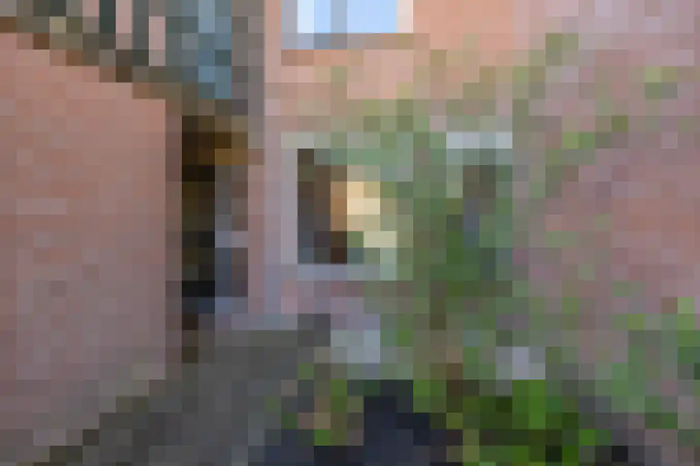 Scheltemaheerd 107 Groningen thumbnail 7