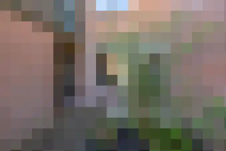 Scheltemaheerd 107 Groningen thumbnail 7