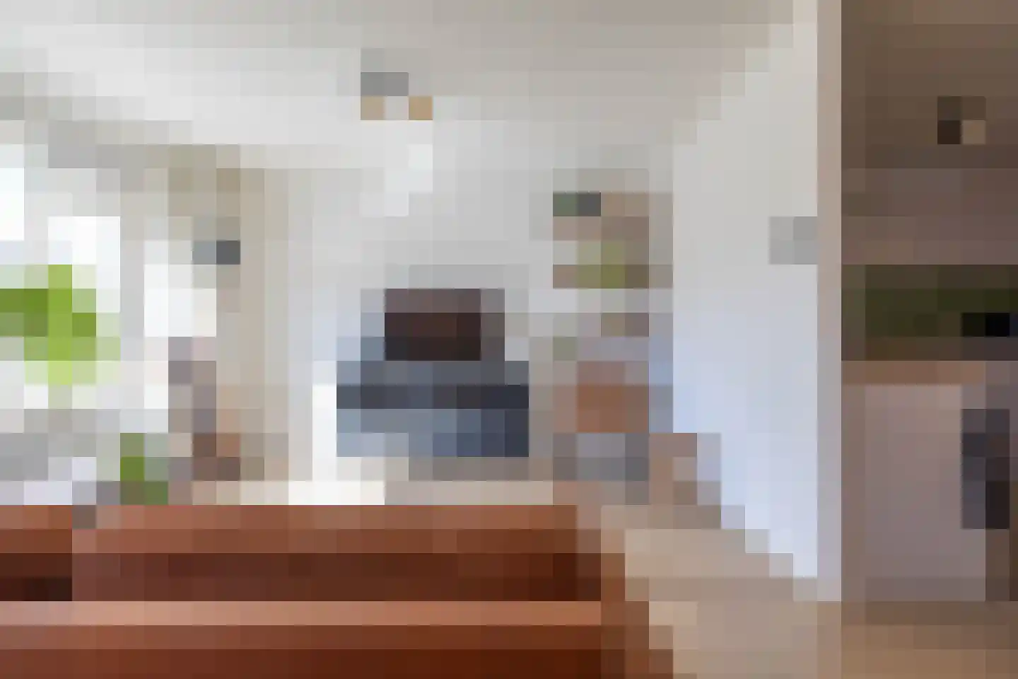 Scheltemaheerd 107 Groningen thumbnail 8