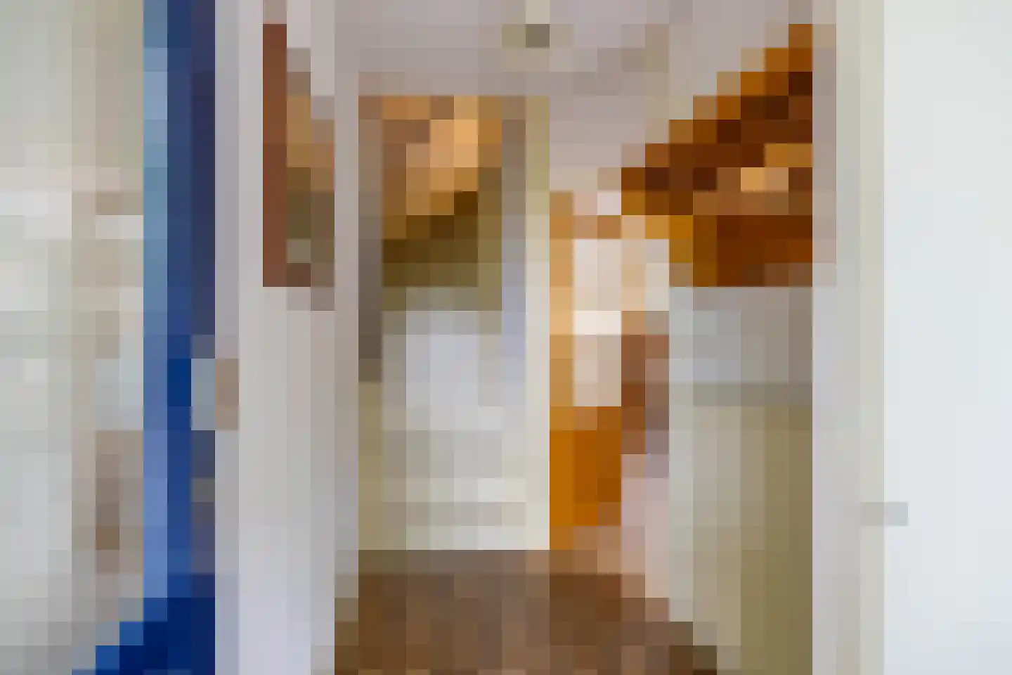Scheltemaheerd 69 Groningen thumbnail 12