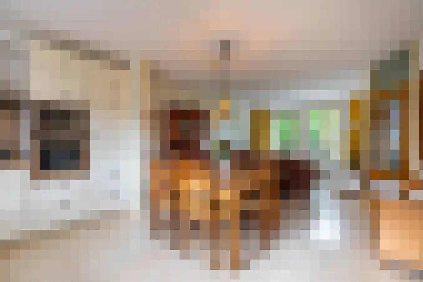 Scheltemaheerd 69 Groningen thumbnail 17