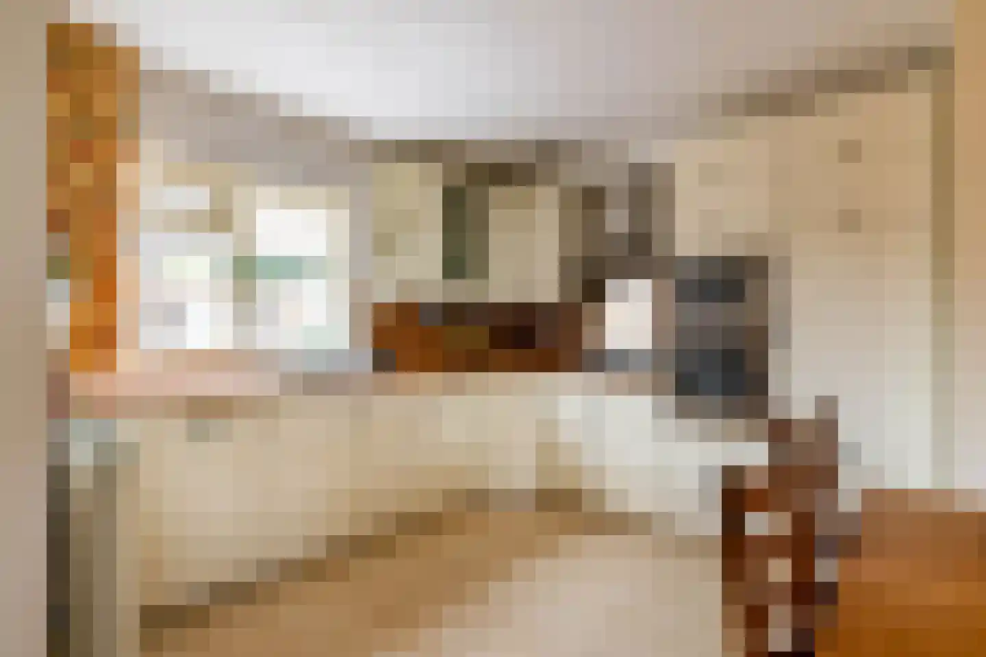 Scheltemaheerd 69 Groningen thumbnail 18