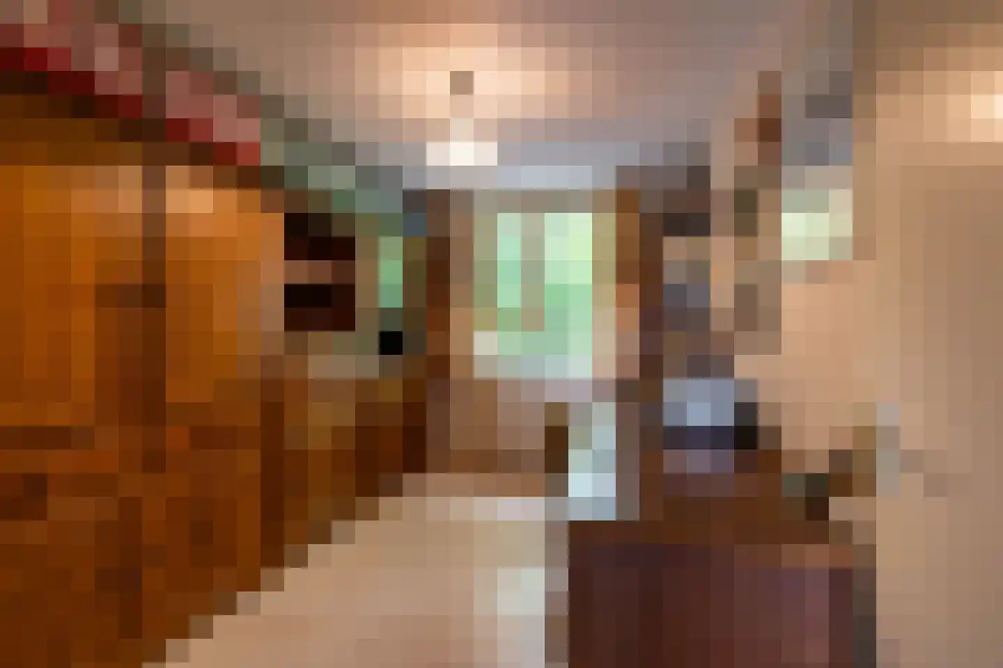 Scheltemaheerd 69 Groningen thumbnail 28