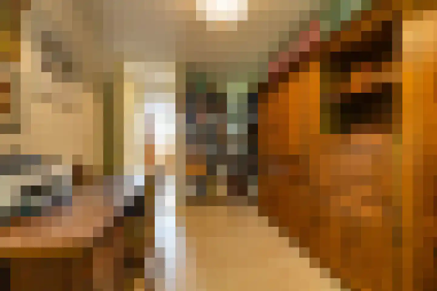 Scheltemaheerd 69 Groningen thumbnail 29