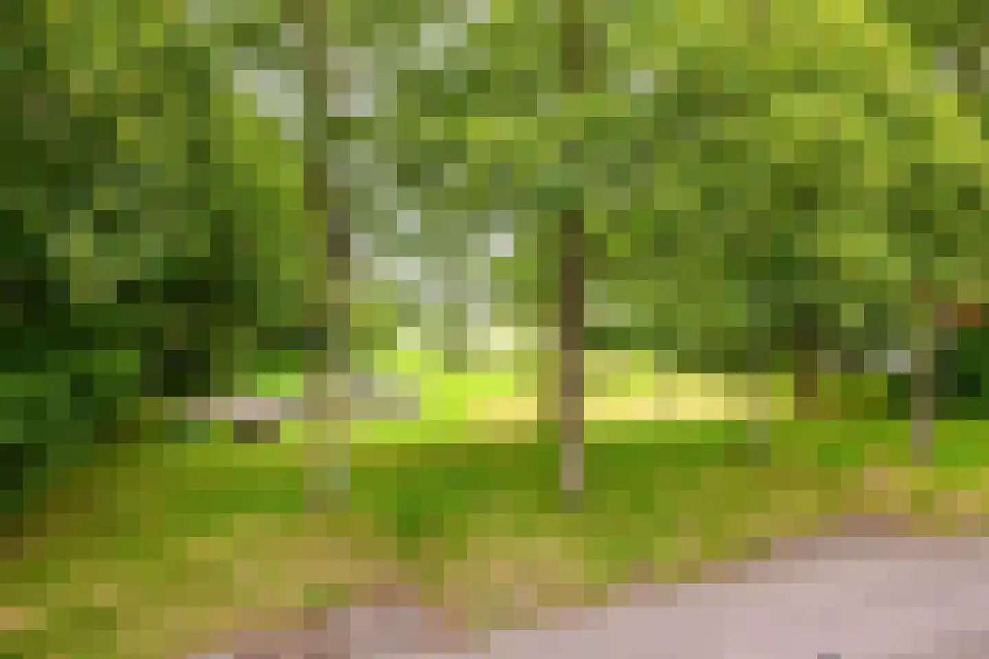 Scheltemaheerd 69 Groningen thumbnail 30