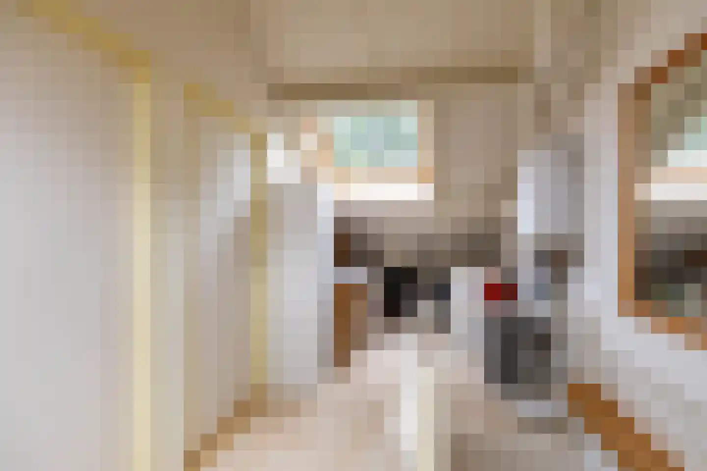 Scheltemaheerd 69 Groningen thumbnail 37