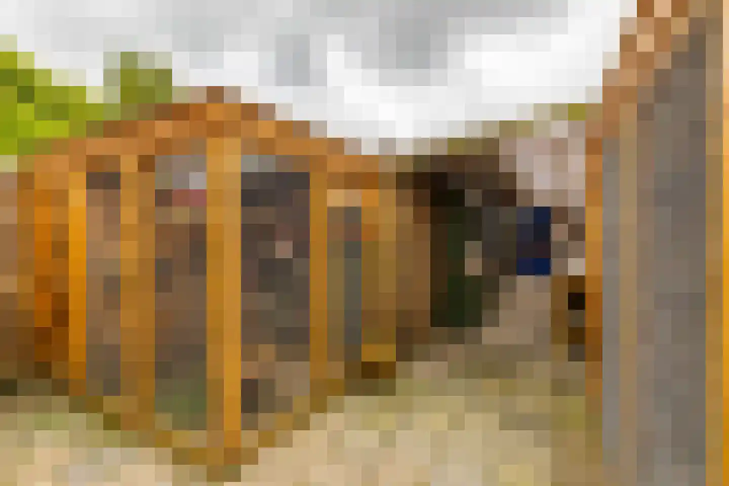 Scheltemaheerd 69 Groningen thumbnail 42