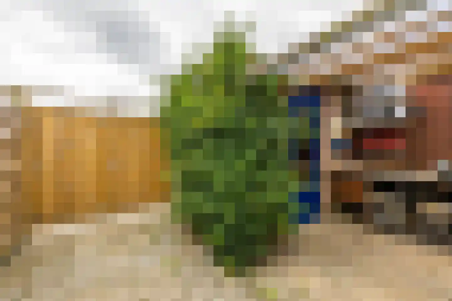 Scheltemaheerd 69 Groningen thumbnail 44