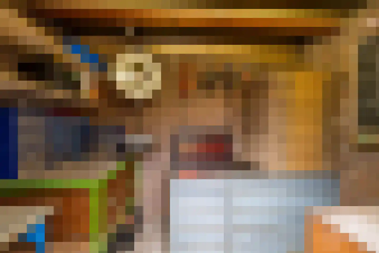Scheltemaheerd 69 Groningen thumbnail 45