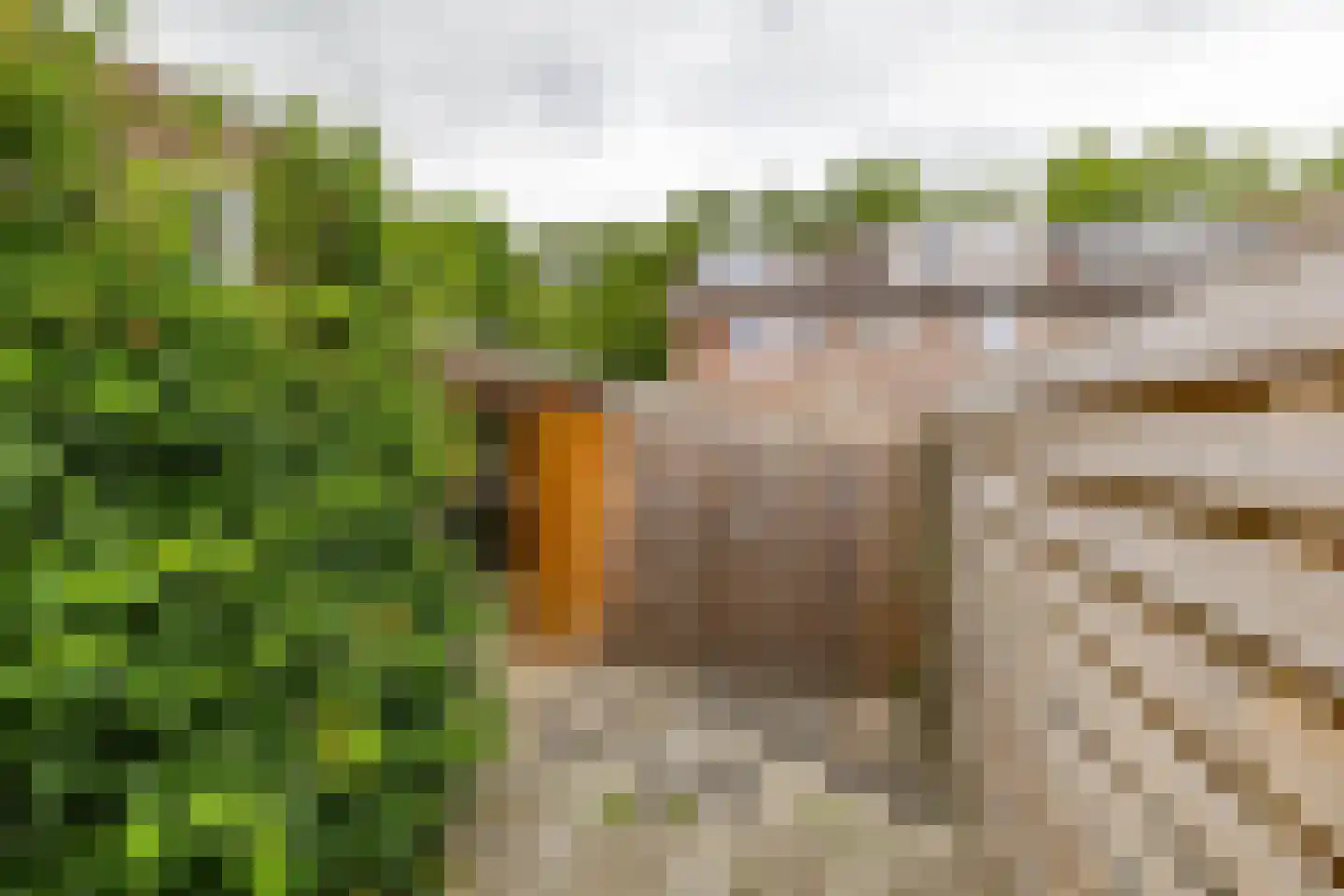 Scheltemaheerd 69 Groningen thumbnail 46