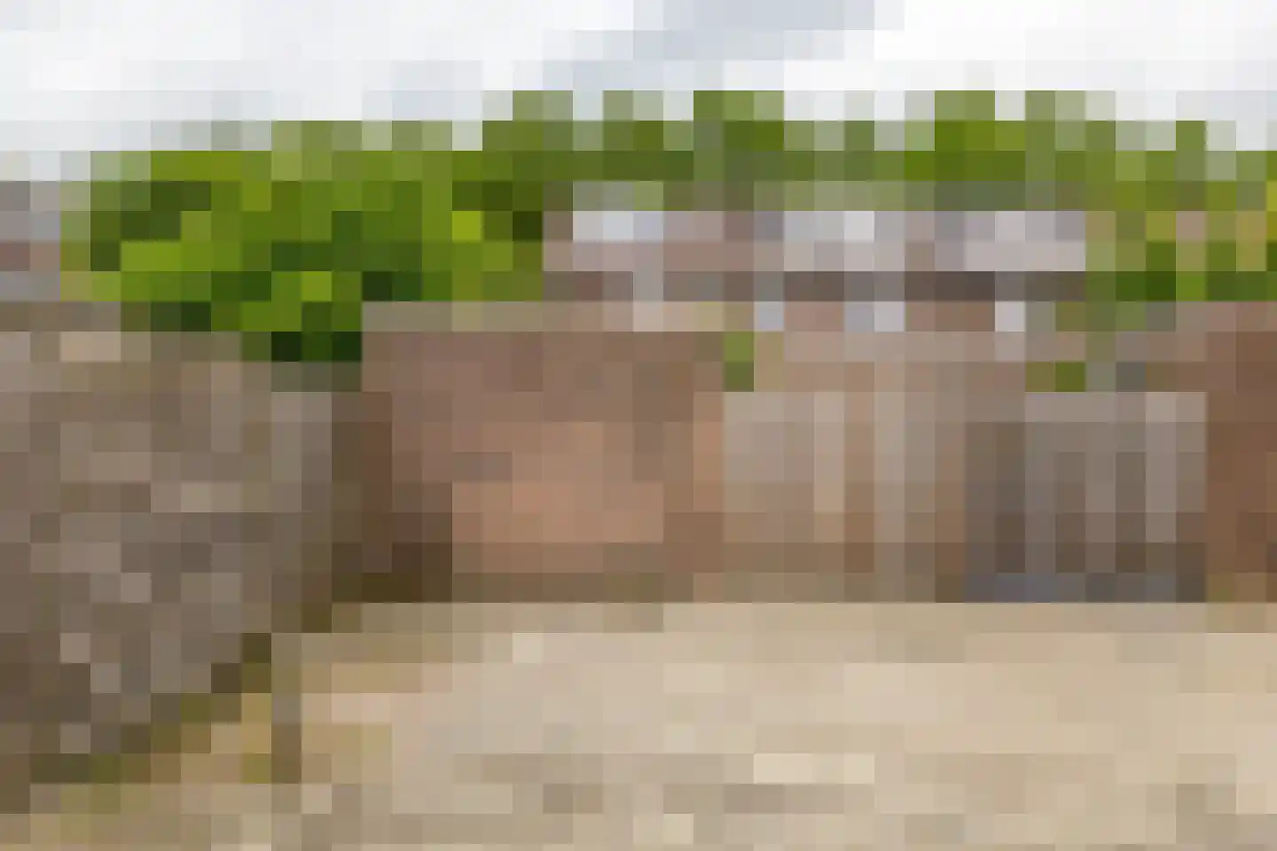 Scheltemaheerd 69 Groningen thumbnail 47