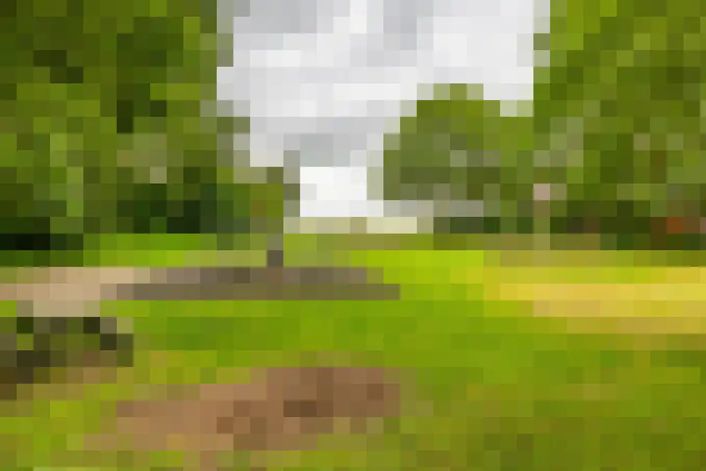 Scheltemaheerd 69 Groningen thumbnail 49