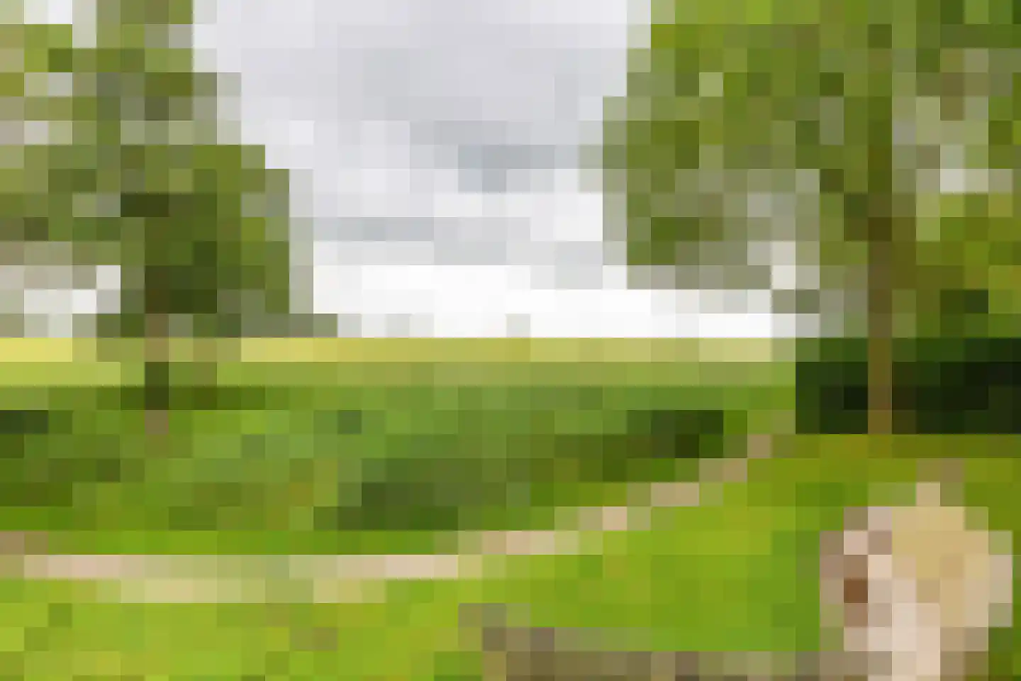 Scheltemaheerd 69 Groningen thumbnail 50