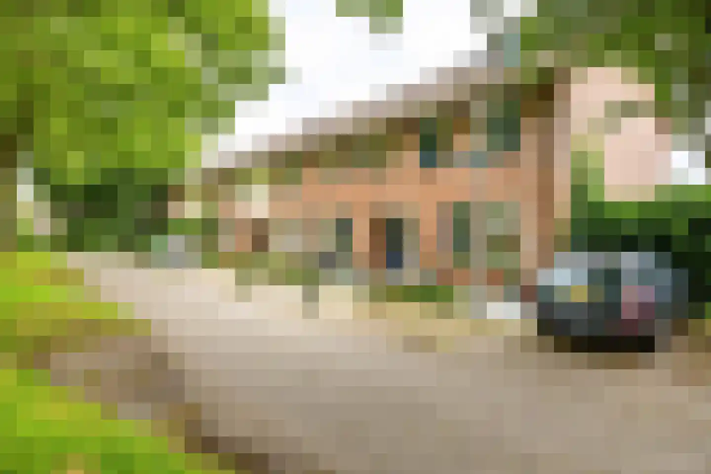 Scheltemaheerd 69 Groningen thumbnail 9