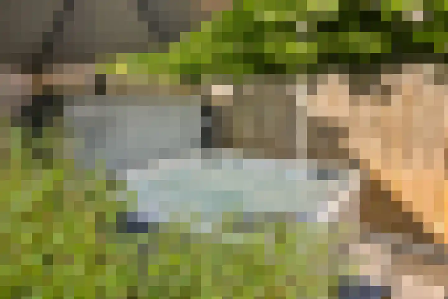 Scheltemalaan 30 Amersfoort thumbnail 31