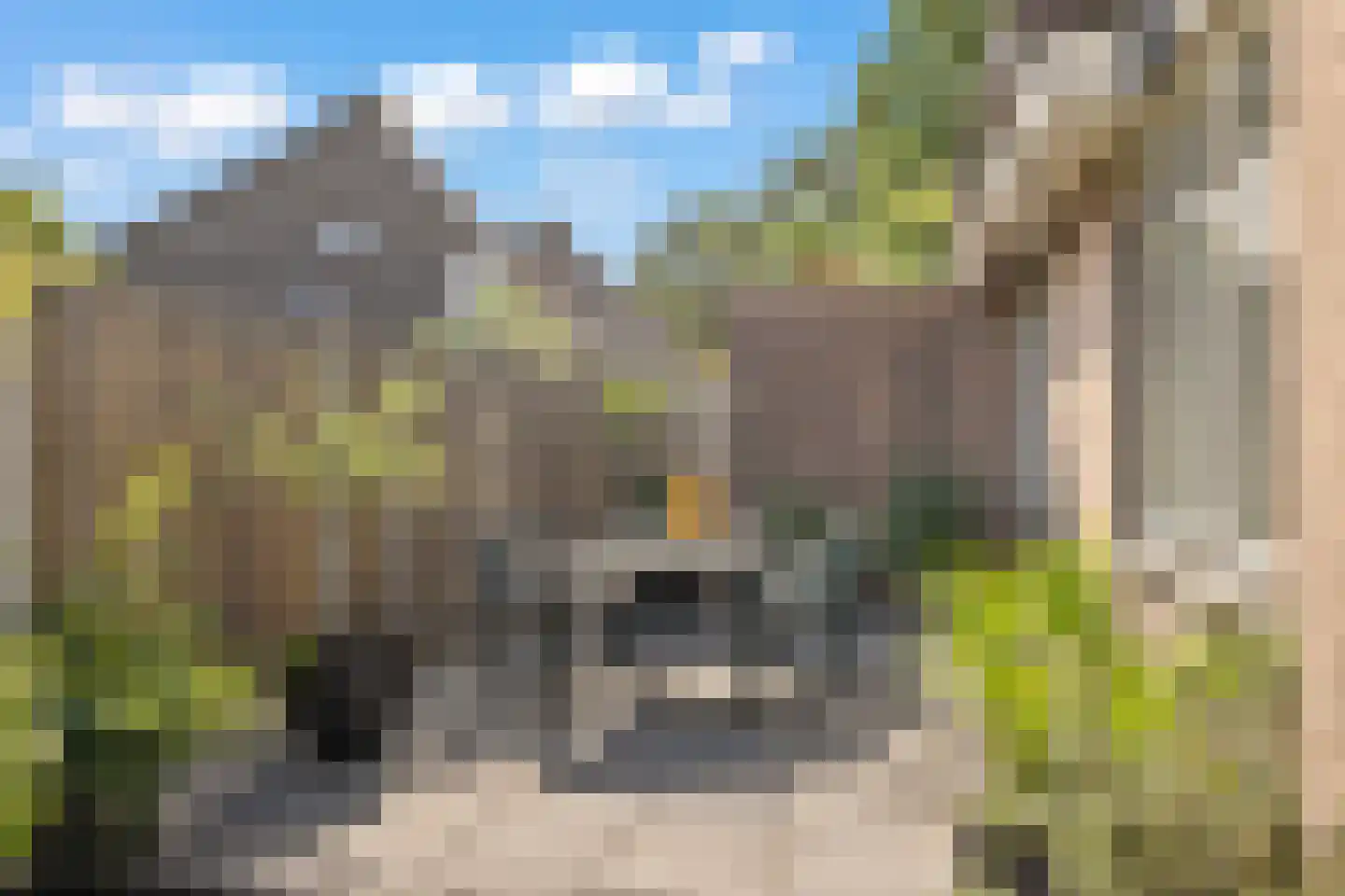 Scheltemalaan 30 Amersfoort thumbnail 36