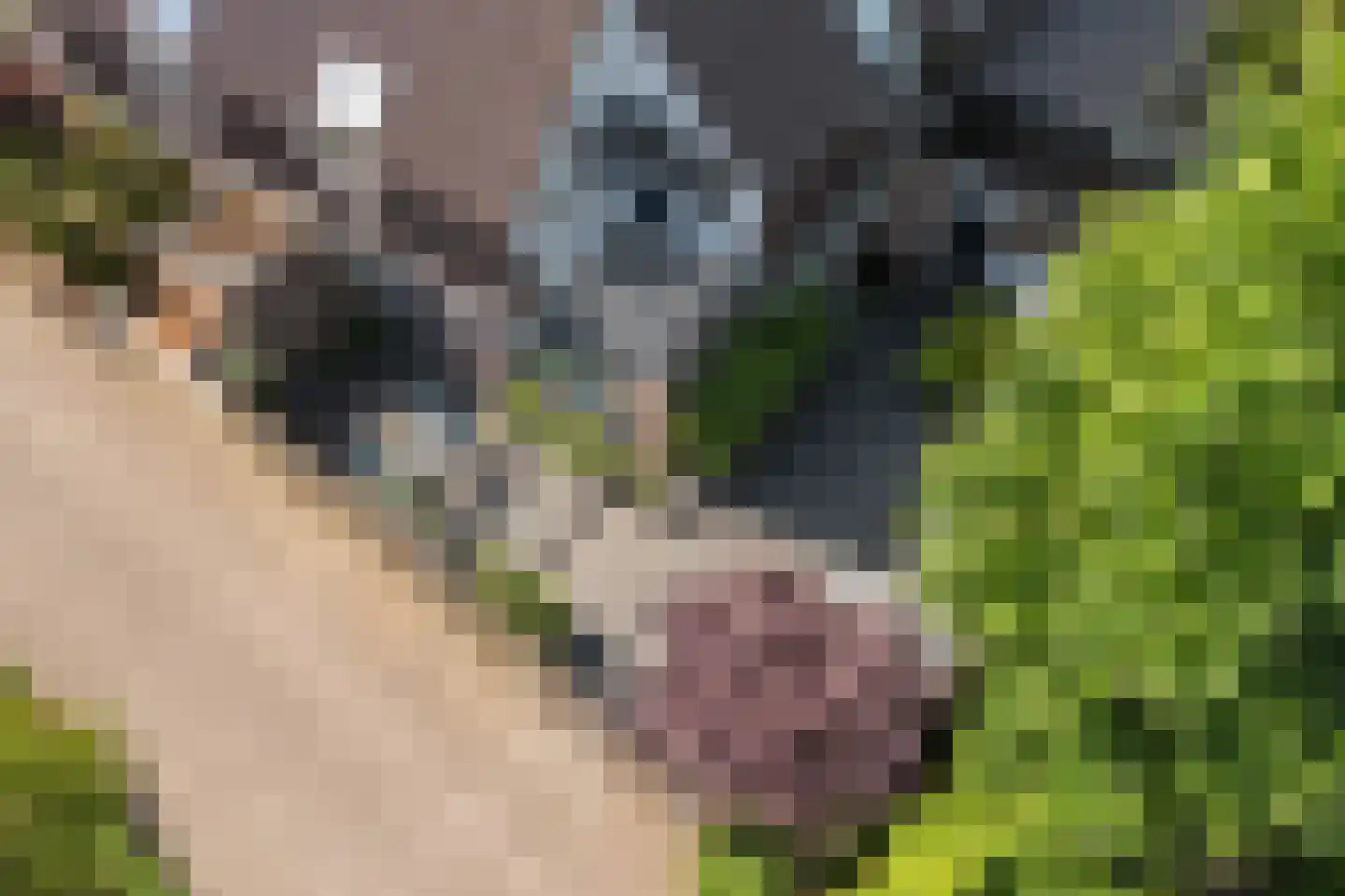 Scheltemalaan 30 Amersfoort thumbnail 38
