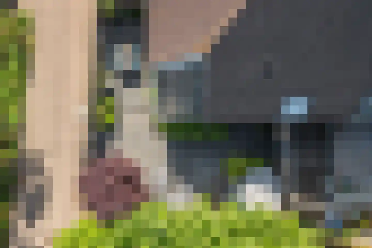 Scheltemalaan 30 Amersfoort thumbnail 39