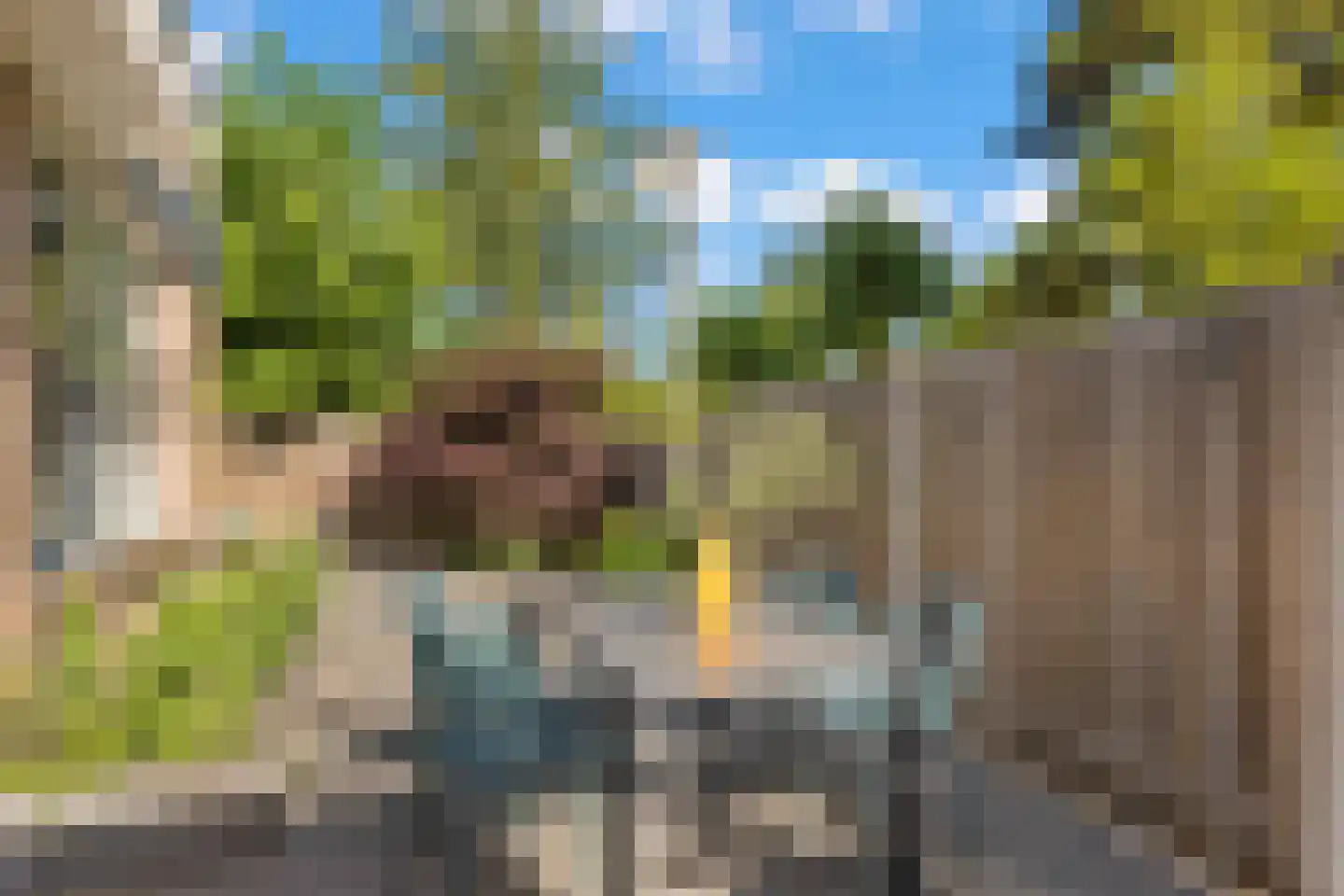 Scheltemalaan 30 Amersfoort thumbnail 4
