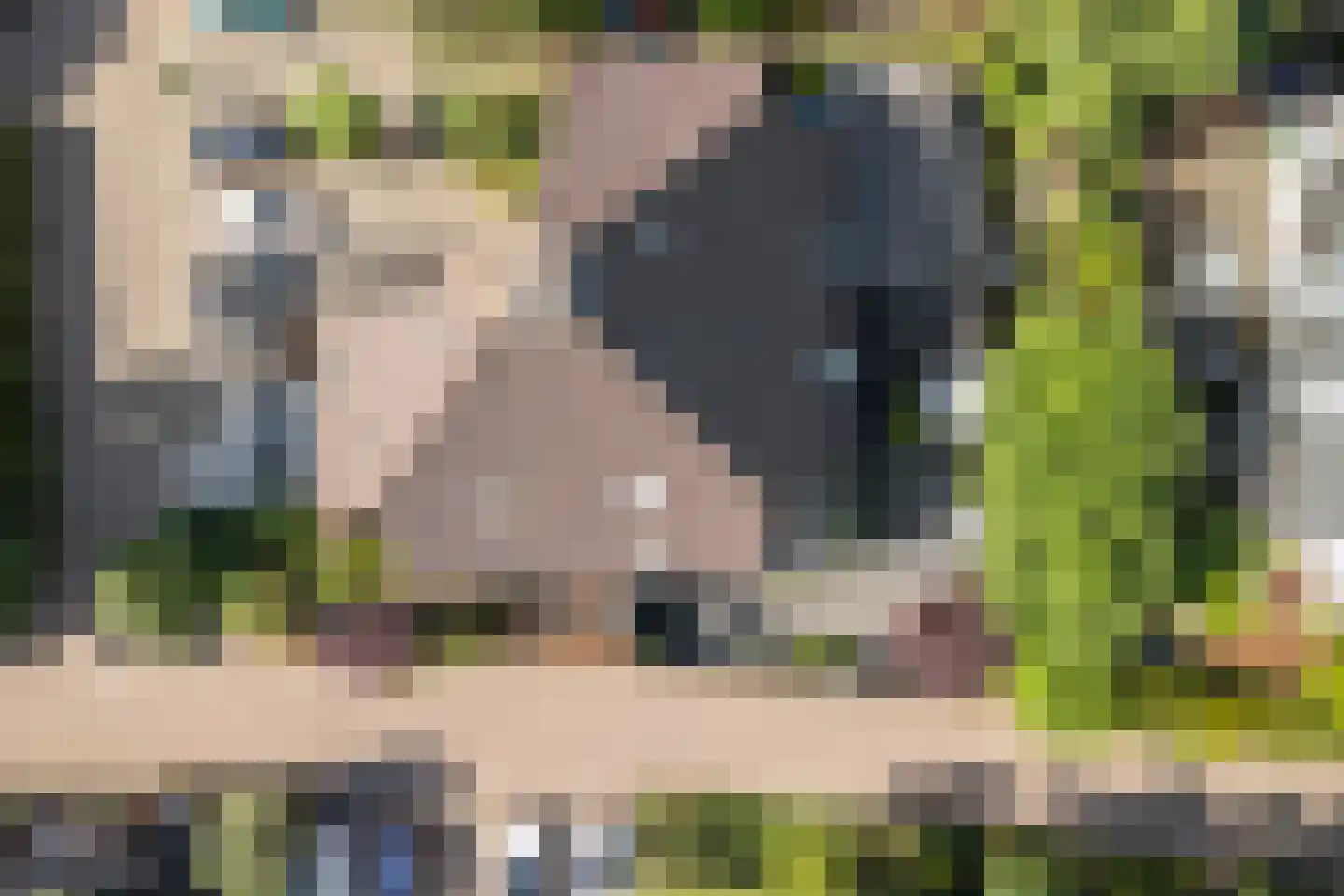 Scheltemalaan 30 Amersfoort thumbnail 43