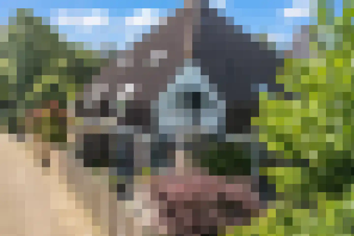Scheltemalaan 30 Amersfoort thumbnail 44