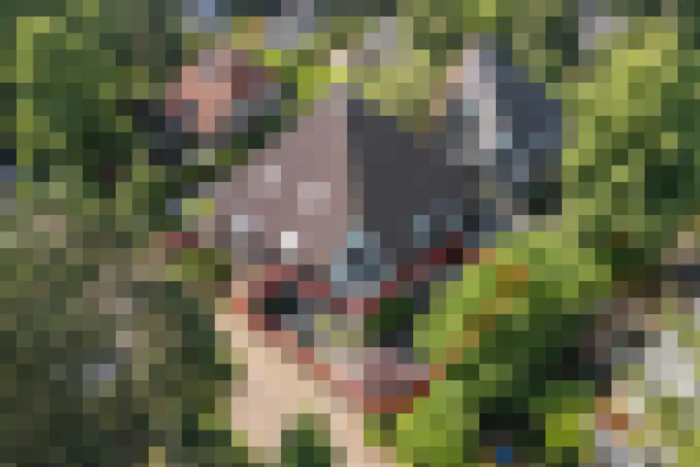 Scheltemalaan 30 Amersfoort thumbnail 6
