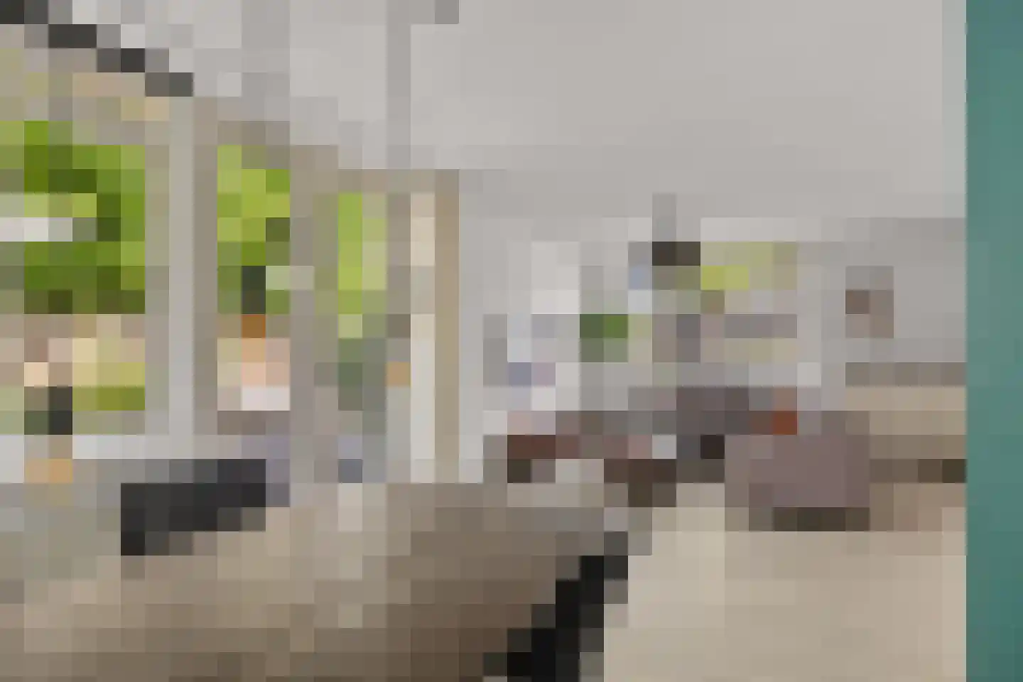Scheltemalaan 30 Amersfoort thumbnail 7